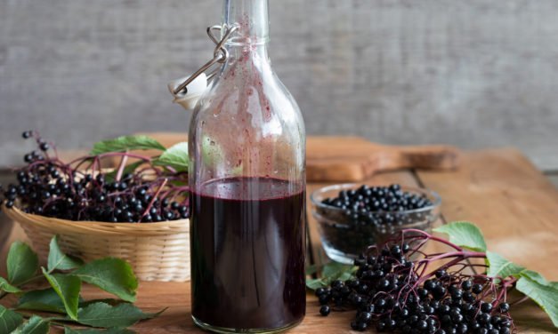 Elderberry can eliminate cold and flu symptoms within 48 hours