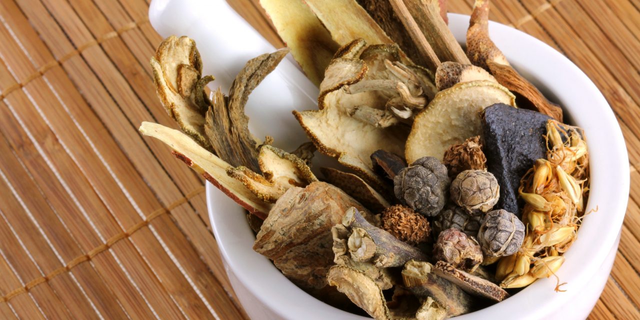 Medicinal mushrooms as an attractive new source of natural compounds for future cancer therapy