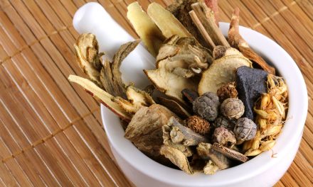 Medicinal mushrooms as an attractive new source of natural compounds for future cancer therapy