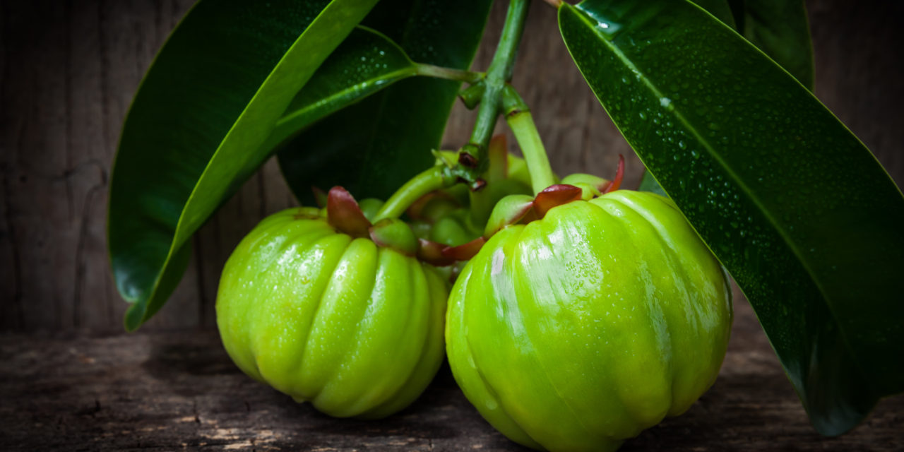 Ingredient Spotlight: Garcinia Cambogia