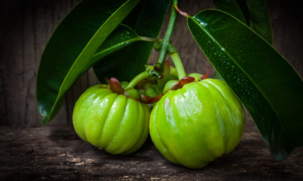 Ingredient Spotlight: Garcinia Cambogia